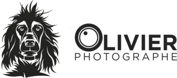 Olivier Desaleux, photographe